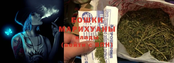 прущие крисы Вяземский