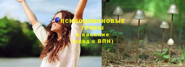 прущие крисы Вяземский