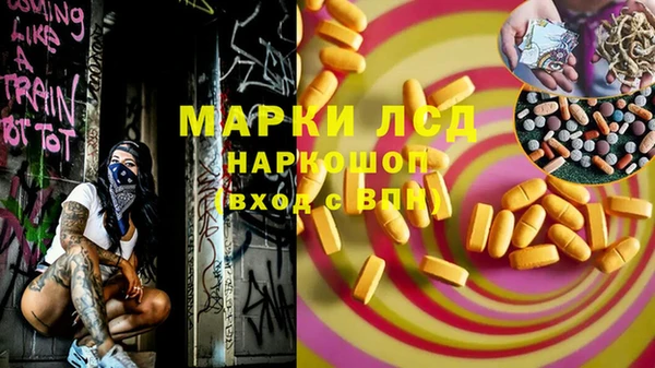 крисы Вязьма