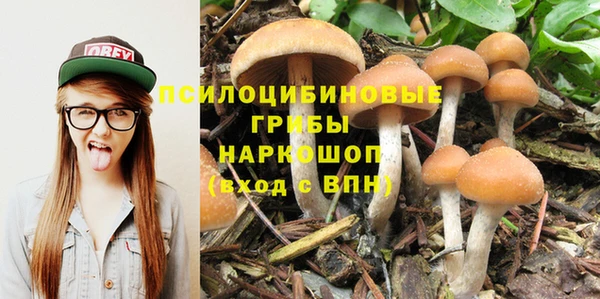 прущие крисы Вяземский