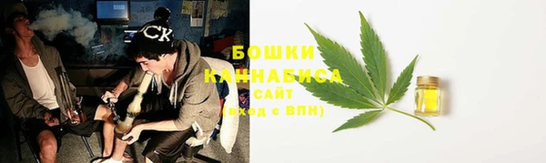 прущие крисы Вяземский