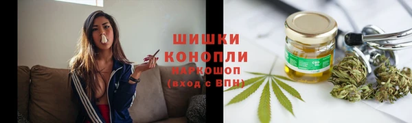 прущие крисы Вяземский