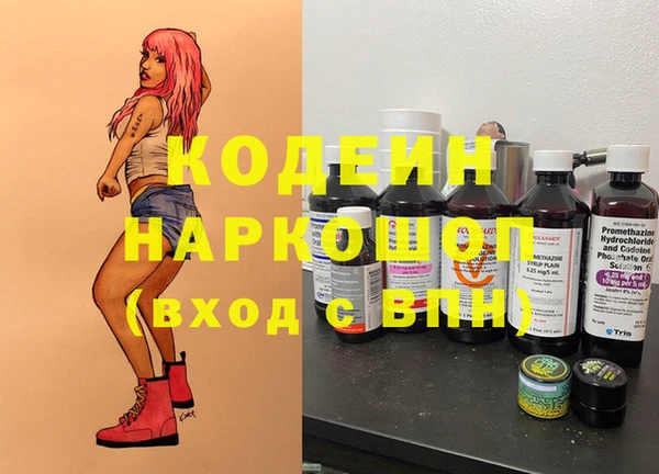 крисы Вязьма