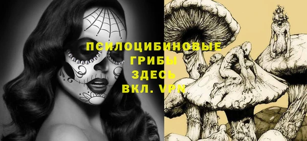 прущие крисы Вяземский