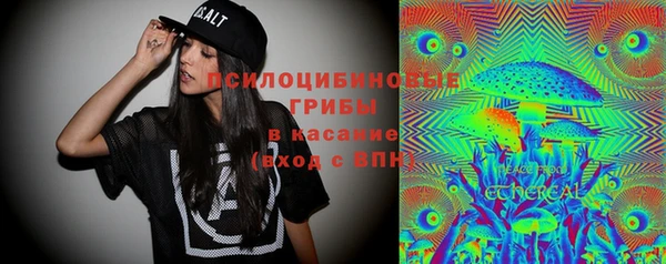 прущие крисы Вяземский