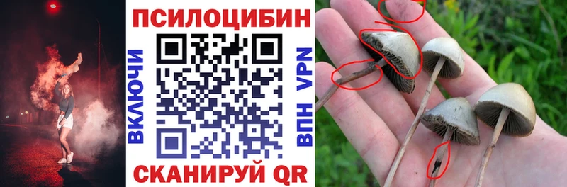 Купить где Островной Галлюциногенные грибы Magic Shrooms